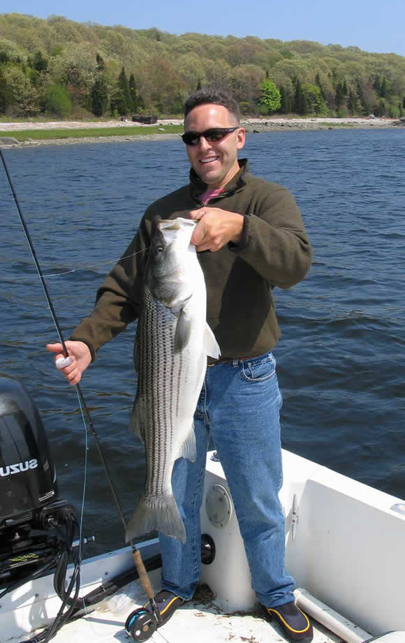 Striped bass caught using Stripping Guards